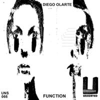 Diego Olarte - Function