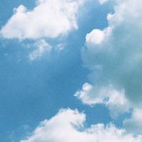 Sam Sweeney - Under Gigantic Clouds (Minimal Animal Remix)