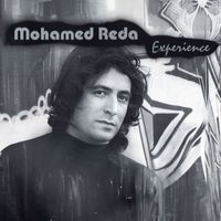 Mohamed Reda - Experience