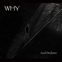 WHY - Soul Declares