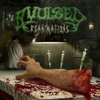 Avulsed - Reanimations (Explicit)