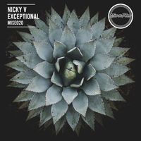 Nicky V - Exceptional