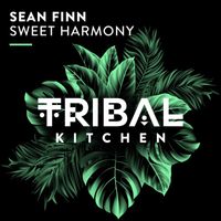 Sean Finn - Sweet Harmony