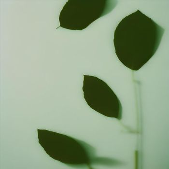 Mial - Desapego