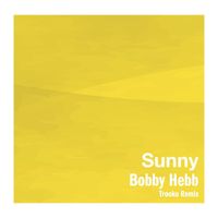 Bobby Hebb - Sunny (Trooko Remix)