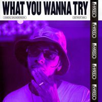 Masego - What You Wanna Try (Kweku Saunderson Detroit Mix)