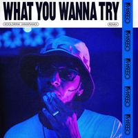 Masego - What You Wanna Try (Kooldrink (Amapiano) Remix)