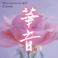 城之内美莎 - 华音