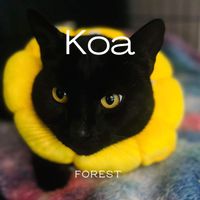Forest - Koa