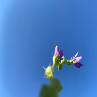 Gallery Six - Carpe Diem