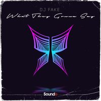 Dj Fake - What They Gonna Say