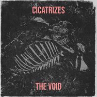 The Void - Cicatrizes