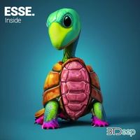 ESSE. - Inside