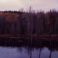 BAILE - Fall at Lake Taghkanic
