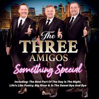 The Three Amigos - Something Special