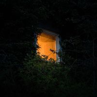 This Coast Bias - window shopping