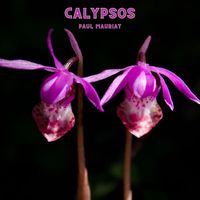 Paul Mauriat - Calypsos