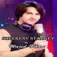 Wajid Khan - Sheereny Stargey