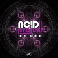 AcidProjekt - Perfectly Disordered