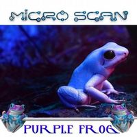 Micro Scan - Purple Frog