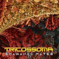 Tricossoma - Shamanic Waves