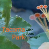 Tacoma Park - What About a Collage?