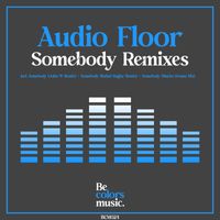 Audio Floor - Somebody Remixes