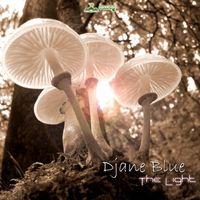 Djane Blue - The Light