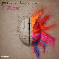 Pink Llama - I Rise