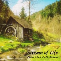 Plum - Stream of Life