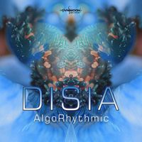 Disia - Algorhythmic