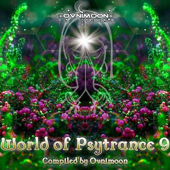 Various Artists - World of Psytrance 9