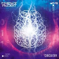 Psy_ience Projekt - Circuitry