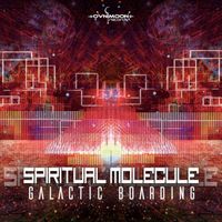 Spiritual Molecule - Galactic Boarding