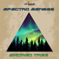 Spectro Senses - Sacred Tree - Single