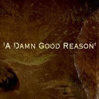 David Rozelle - A Damn Good Reason