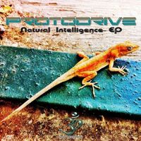 ProtoDrive - Natural Intelligence