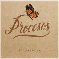 Duo Harmony - Procesos