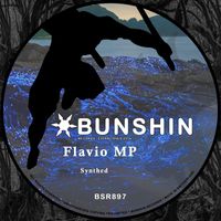 Flavio MP - Synthed