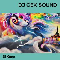 DJ Kane - Dj Cek Sound
