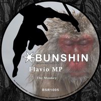 Flavio MP - The Monkey