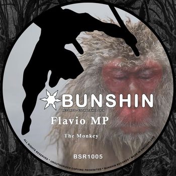 Flavio MP - The Monkey