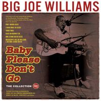Big Joe Williams - Baby Please Don't Go: The Collection 1935-62