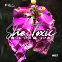 Black static blue flame - She Toxic (Explicit)