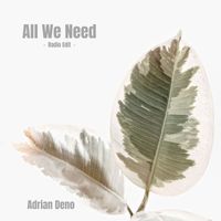 Adrian Deno - All We Need (Radio Edit)