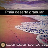 Sounds of Lakeville - Praia deserta granular