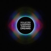 Soulacybin - Learning Through Dreams