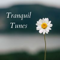New Age Supreme - Tranquil Tunes: Soothing Melodies for Stress Relief & Migraine Management