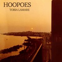 Tobia Lamare - Hoopoes