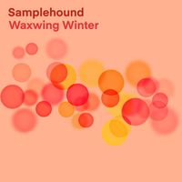 Samplehound - Waxwing Winter